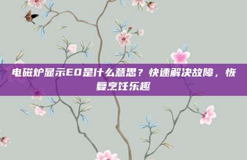 电磁炉显示E0是什么意思?快速解决故障,恢复烹饪乐趣