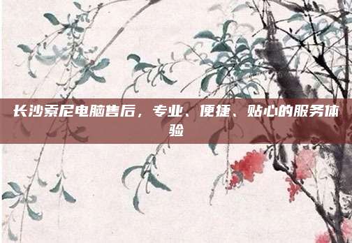 长沙索尼电脑售后,专业、便捷、贴心的服务体验