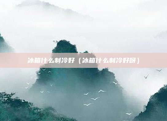 冰箱什么制冷好（冰箱什么制冷好呀）