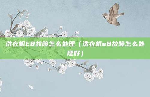 洗衣机E8故障怎么处理（洗衣机e8故障怎么处理好）