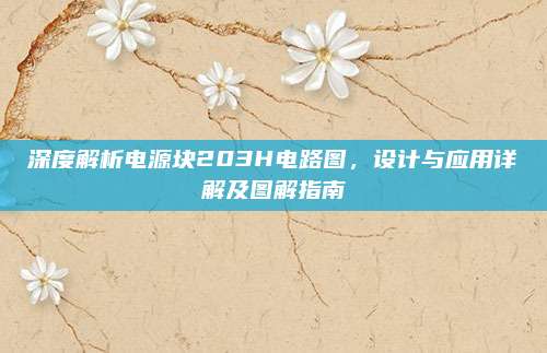 深度解析电源块203H电路图,设计与应用详解及图解指南