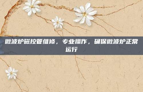 微波炉磁控管维修,专业操作,确保微波炉正常运行
