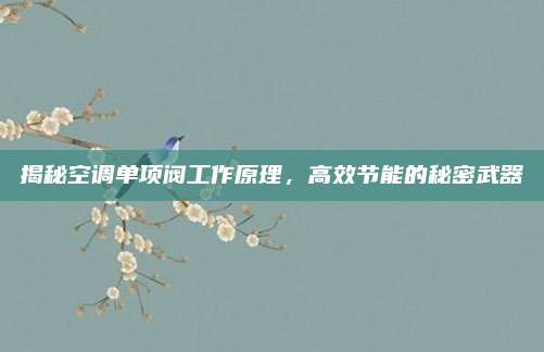 揭秘空调单项阀工作原理,高效节能的秘密武器