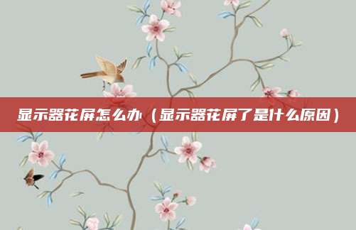 显示器花屏怎么办（显示器花屏了是什么原因）
