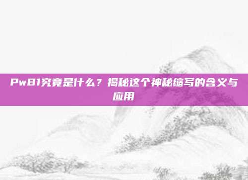 PwB1究竟是什么?揭秘这个神秘缩写的含义与应用