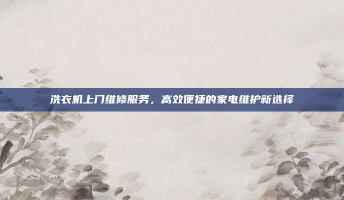 洗衣机上门维修服务,高效便捷的家电维护新选择