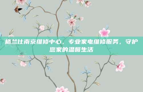 格兰仕南京维修中心,专业家电维修服务,守护您家的温馨生活