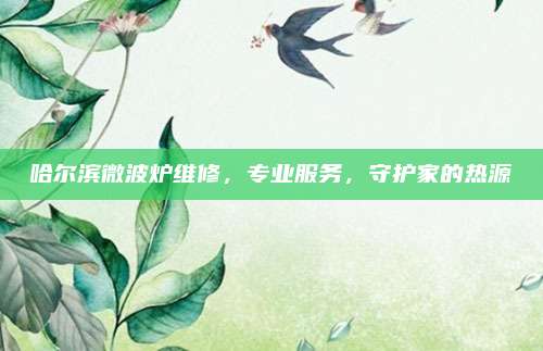 哈尔滨微波炉维修，专业服务，守护家的热源