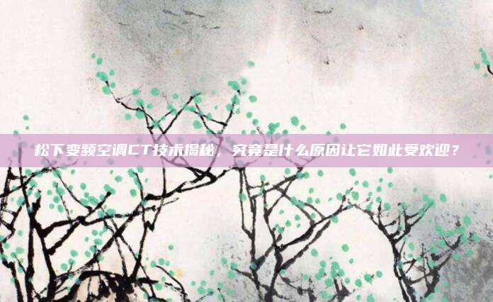松下变频空调CT技术揭秘,究竟是什么原因让它如此受欢迎?