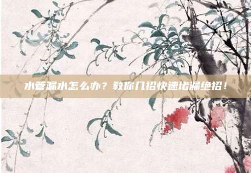 水管漏水怎么办?教你几招快速堵漏绝招!