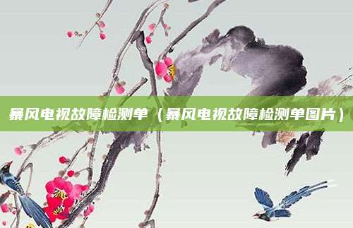 暴风电视故障检测单(暴风电视故障检测单图片)