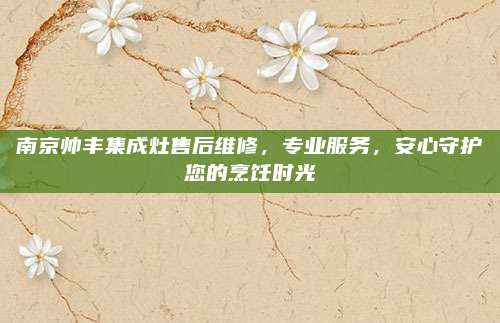 南京帅丰集成灶售后维修,专业服务,安心守护您的烹饪时光