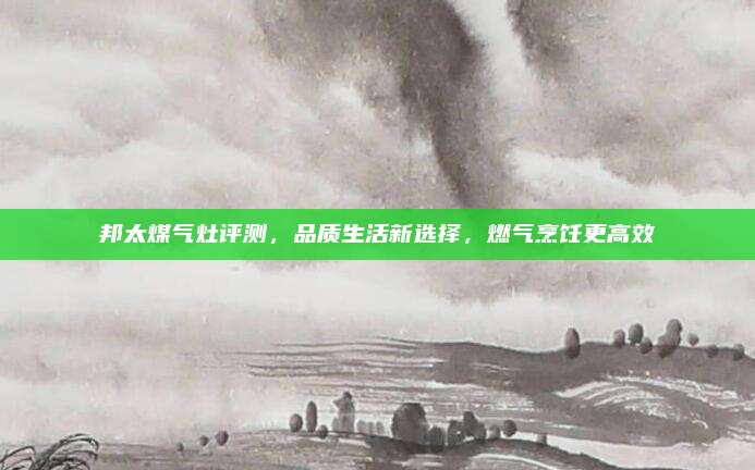 邦太煤气灶评测,品质生活新选择,燃气烹饪更高效