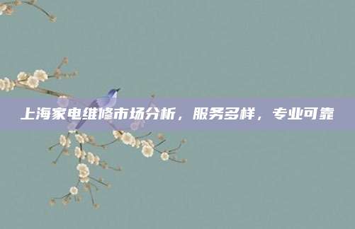 上海家电维修市场分析,服务多样,专业可靠