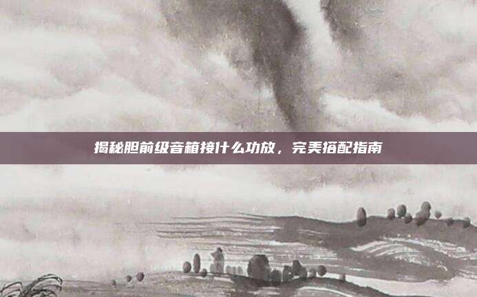 揭秘胆前级音箱接什么功放,完美搭配指南