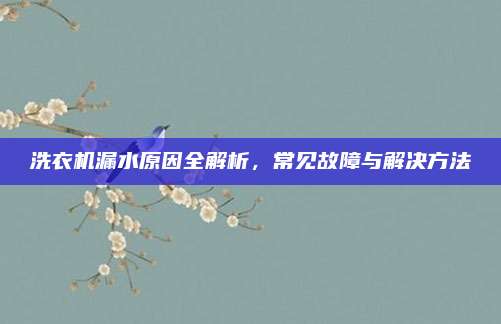 洗衣机漏水原因全解析,常见故障与解决方法