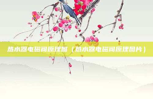 热水器电磁阀原理图（热水器电磁阀原理图片）