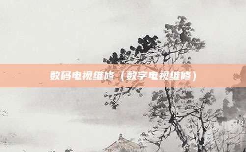 数码电视维修(数字电视维修)