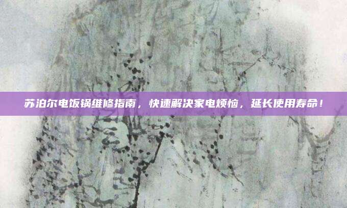 苏泊尔电饭锅维修指南,快速解决家电烦恼,延长使用寿命!