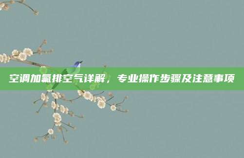 空调加氟排空气详解,专业操作步骤及注意事项