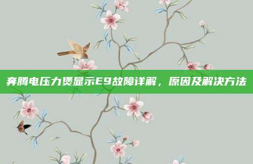 奔腾电压力煲显示E9故障详解,原因及解决方法