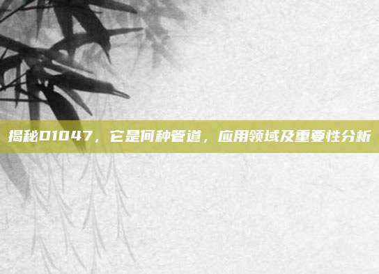 揭秘D1047,它是何种管道,应用领域及重要性分析