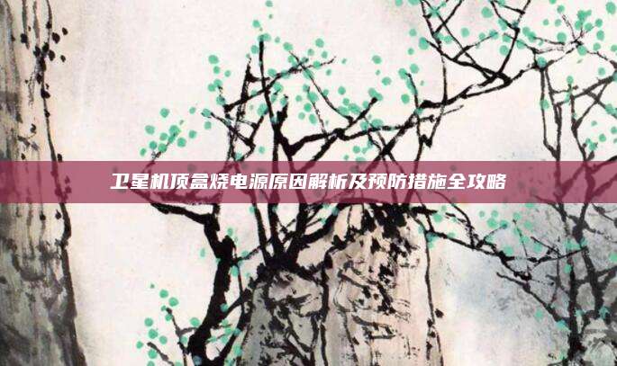 卫星机顶盒烧电源原因解析及预防措施全攻略