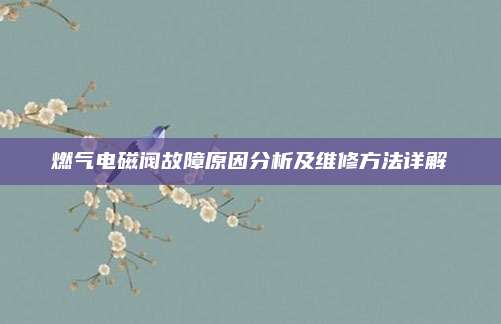 燃气电磁阀故障原因分析及维修方法详解