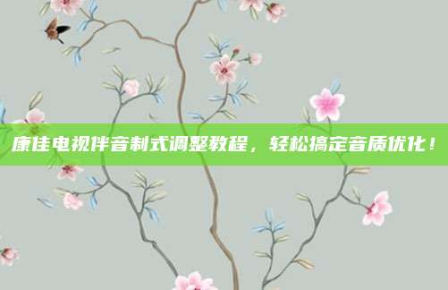 康佳电视伴音制式调整教程,轻松搞定音质优化!