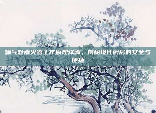 燃气灶点火器工作原理详解,揭秘现代厨房的安全与便捷