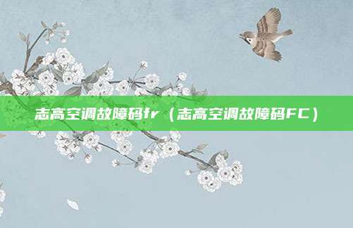志高空调故障码fr(志高空调故障码FC)