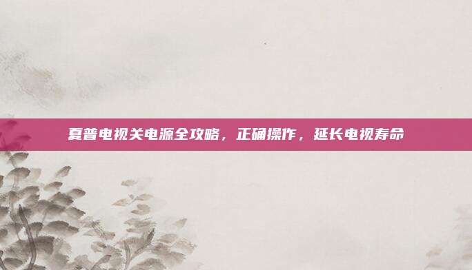 夏普电视关电源全攻略,正确操作,延长电视寿命