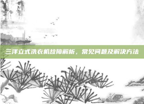 三洋立式洗衣机故障解析,常见问题及解决方法