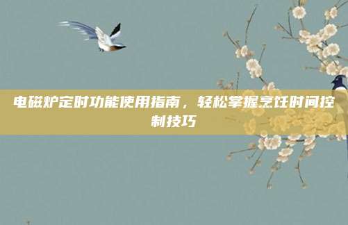 电磁炉定时功能使用指南,轻松掌握烹饪时间控制技巧