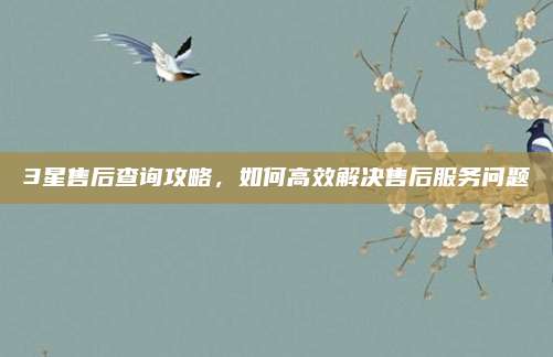 3星售后查询攻略,如何高效解决售后服务问题