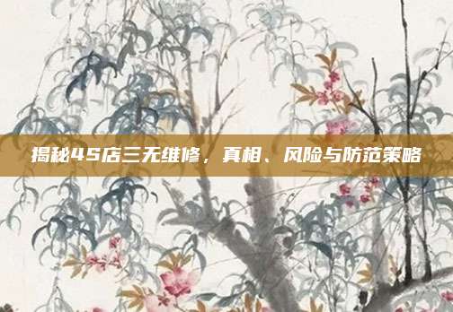 揭秘4S店三无维修,真相、风险与防范策略