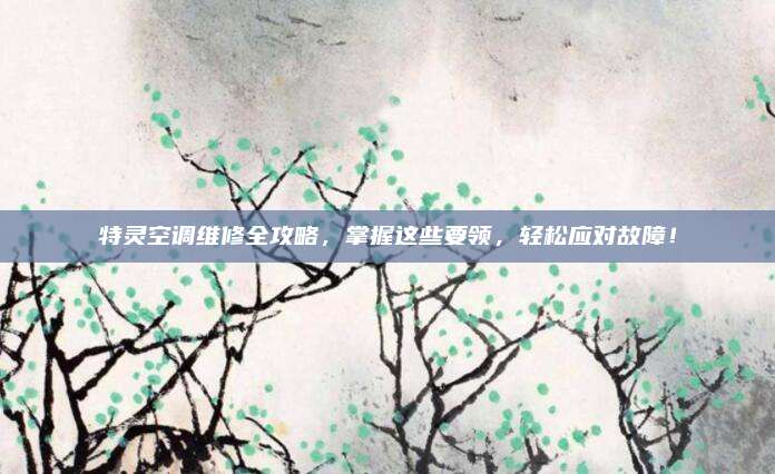 特灵空调维修全攻略,掌握这些要领,轻松应对故障!