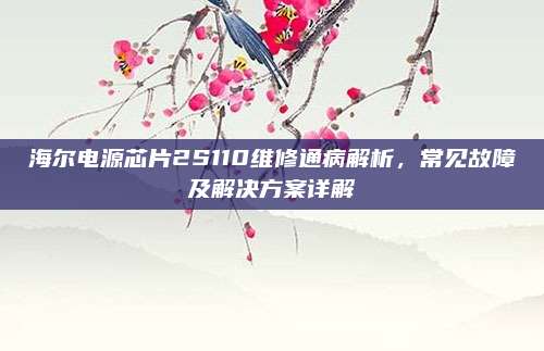 海尔电源芯片2S110维修通病解析,常见故障及解决方案详解