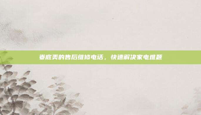 娄底美的售后维修电话,快速解决家电难题