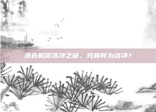 洗衣机筒洁净之谜,究竟何为洁净?