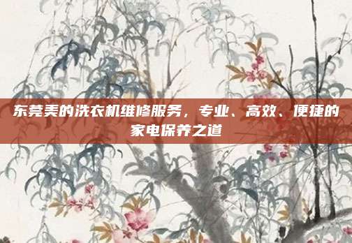 东莞美的洗衣机维修服务,专业、高效、便捷的家电保养之道