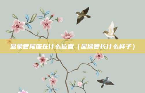 显象管尾座在什么位置（显像管长什么样子）