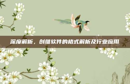 深度解析,创维软件的格式解析及行业应用