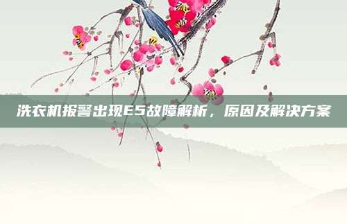 洗衣机报警出现E5故障解析,原因及解决方案
