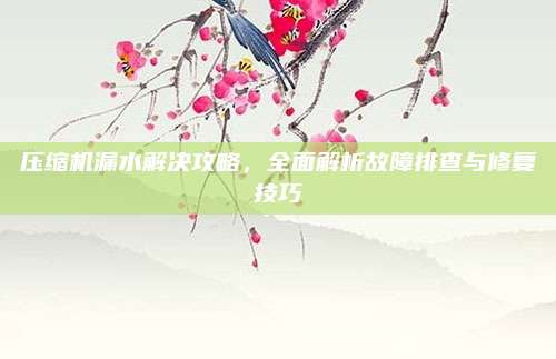 压缩机漏水解决攻略,全面解析故障排查与修复技巧