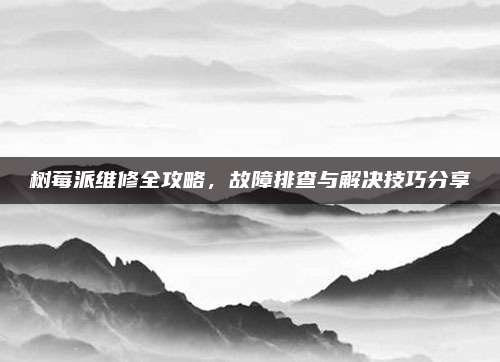 树莓派维修全攻略,故障排查与解决技巧分享