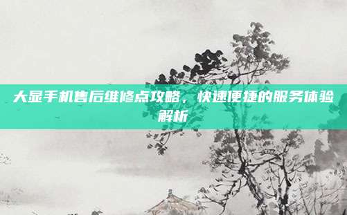 大显手机售后维修点攻略,快速便捷的服务体验解析