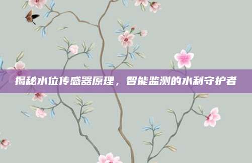 揭秘水位传感器原理,智能监测的水利守护者