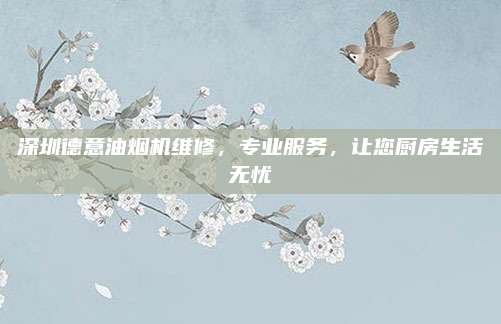 深圳德意油烟机维修,专业服务,让您厨房生活无忧