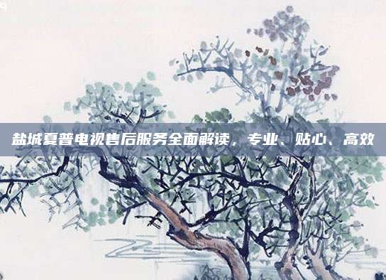 盐城夏普电视售后服务全面解读，专业、贴心、高效